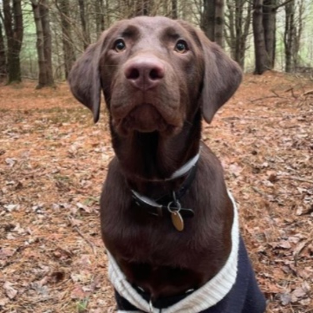 Meet your Posher, Skylar